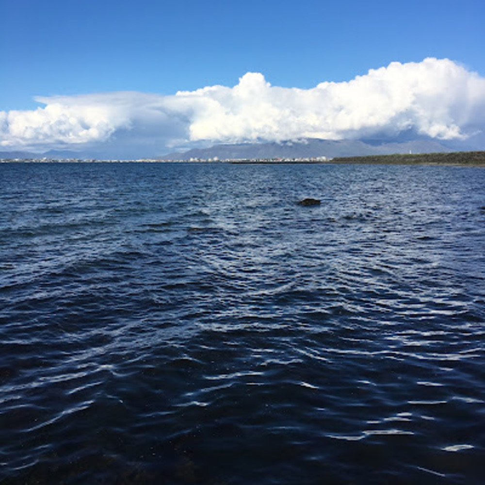 Meet your Posher, Joseph